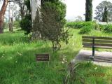 image of grave number 351582